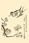 芥子园画谱 翎毛