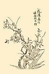 芥子园画谱 桃花