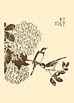 芥子园画谱 翎毛