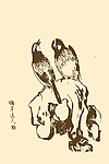 芥子园画谱 翎毛