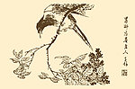 芥子园画谱 翎毛