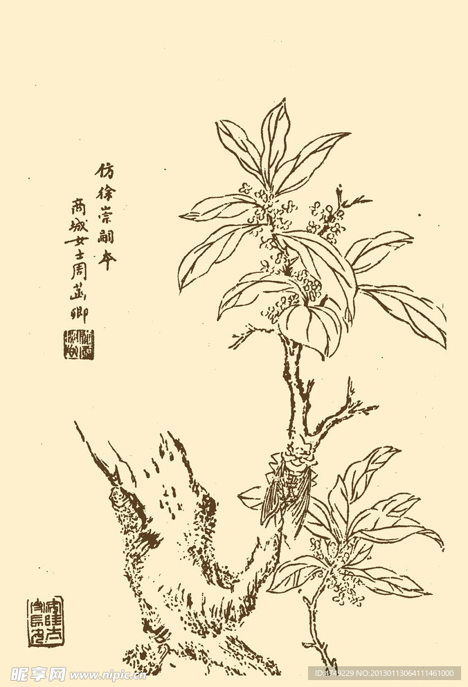 芥子园画谱 翎毛