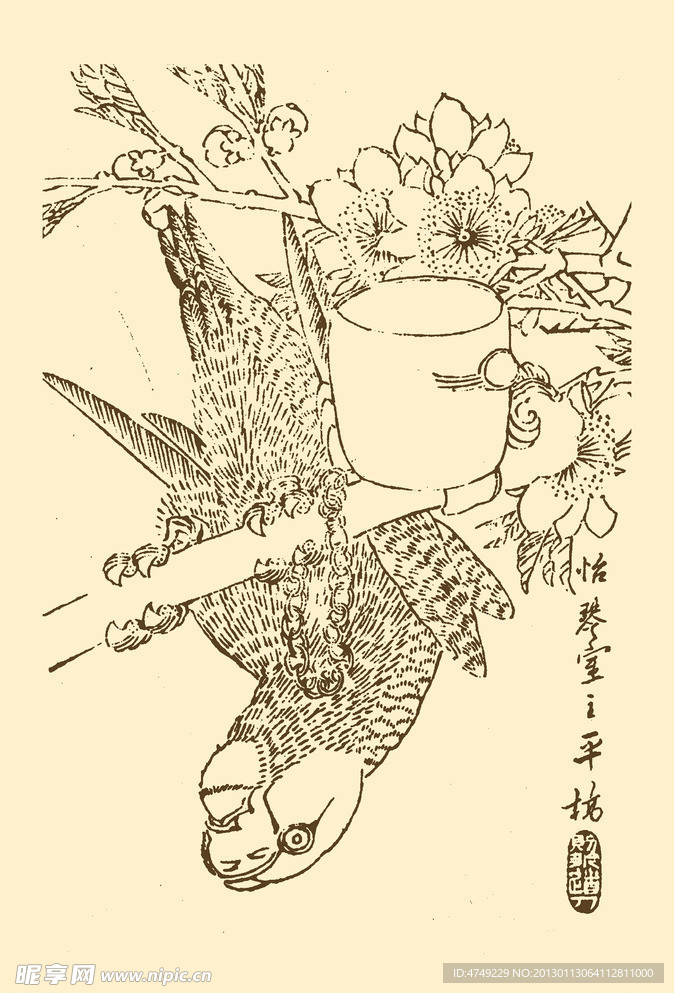 芥子园画谱 鹦鹉