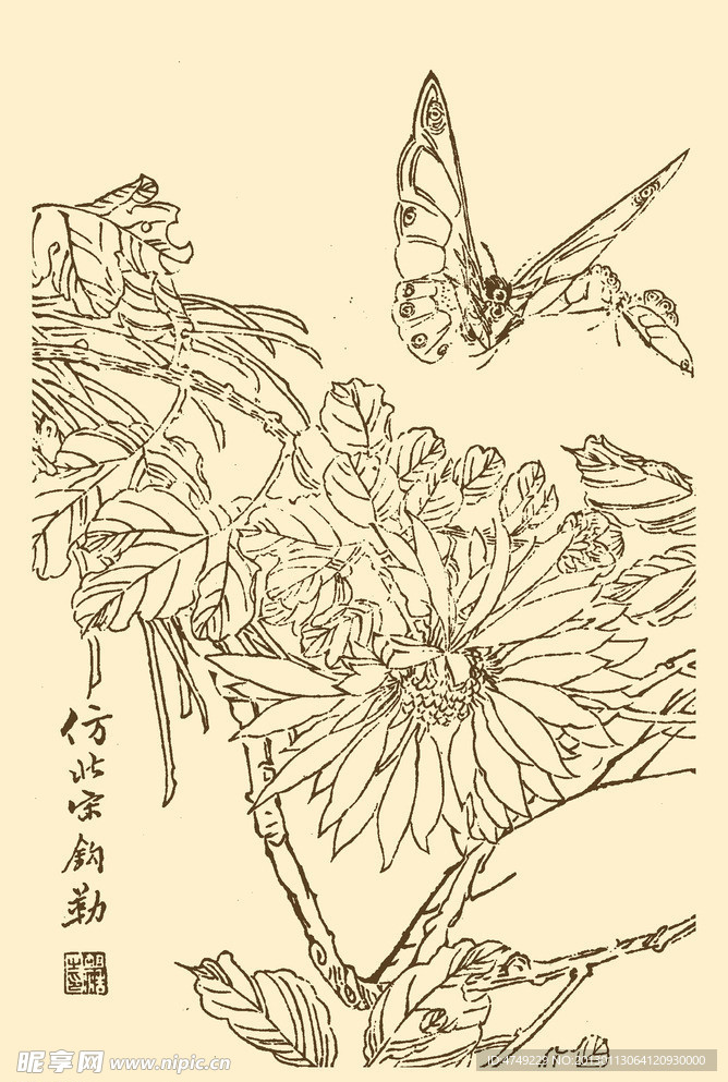 芥子园画谱 翎毛