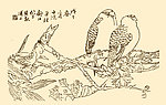 芥子园画谱 翎毛