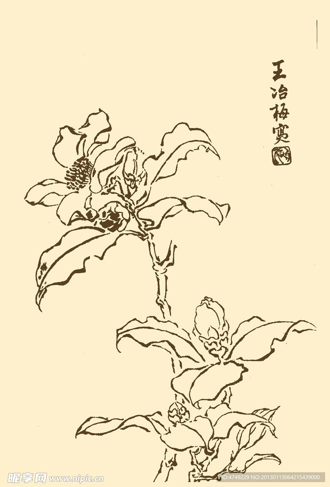 芥子园画谱 花卉