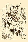芥子园画谱 花卉