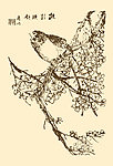 芥子园画谱 翎毛