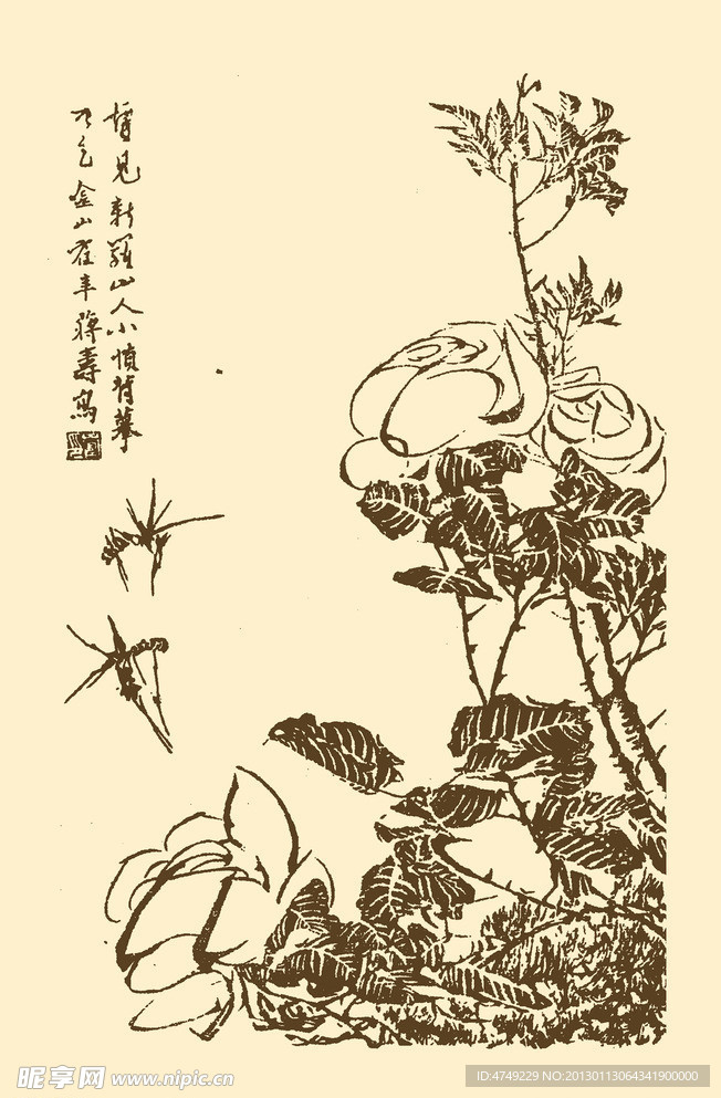 芥子园画谱 翎毛