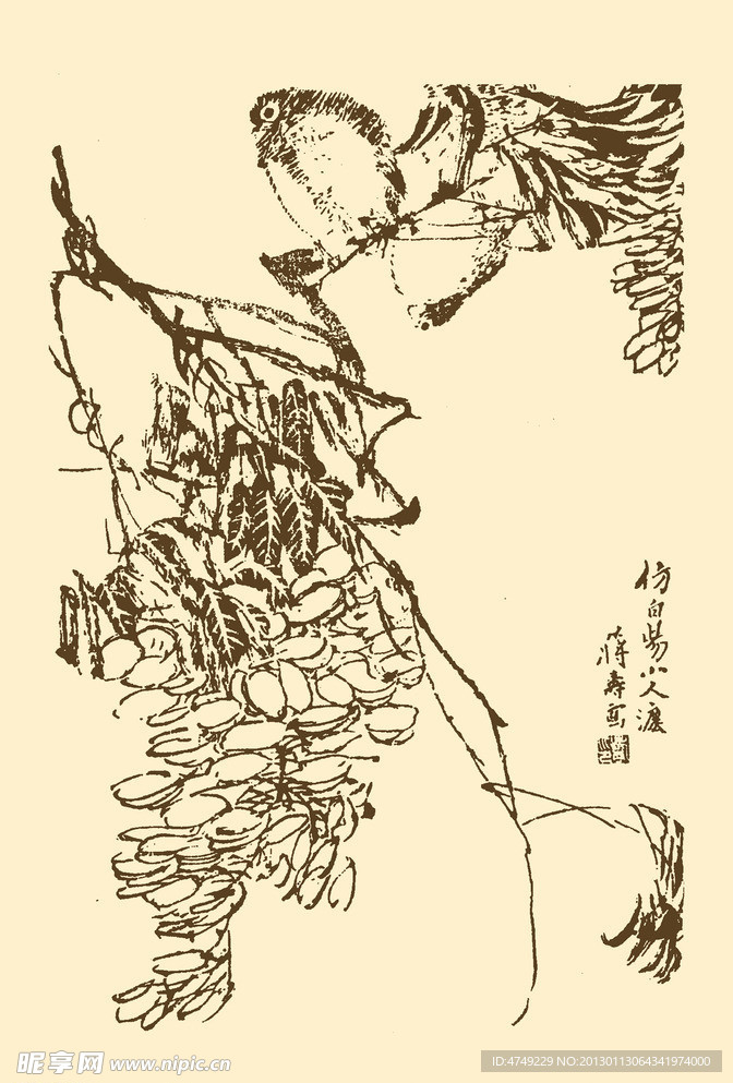 芥子园画谱 翎毛