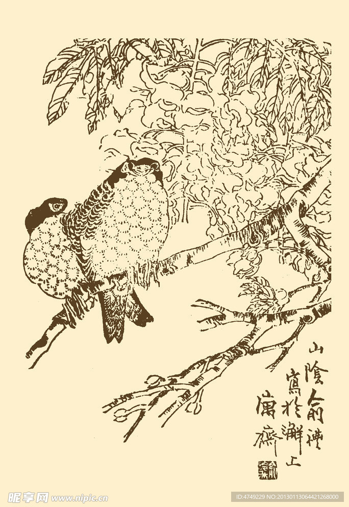 芥子园画谱 翎毛