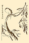 芥子园画谱 翎毛