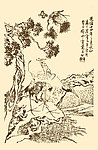 芥子园画谱 翎毛
