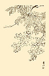 芥子园画谱 桃花