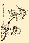 芥子园画谱 翎毛
