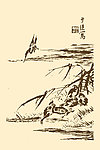 芥子园画谱 翎毛