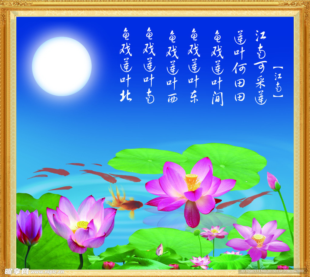荷花图