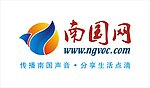 南国网LOGO