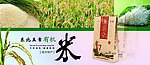 淘宝首页海报