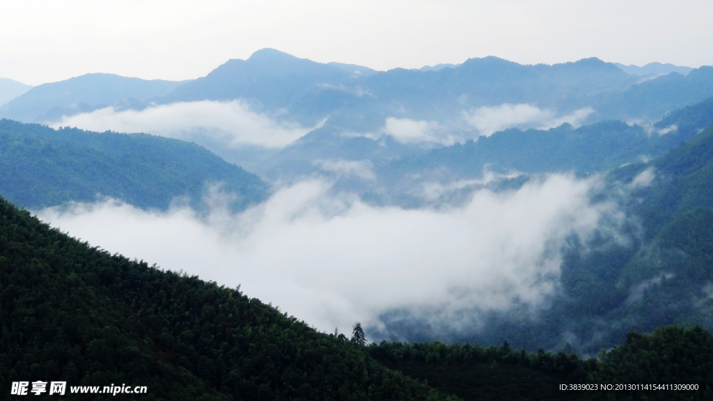 苍山如海