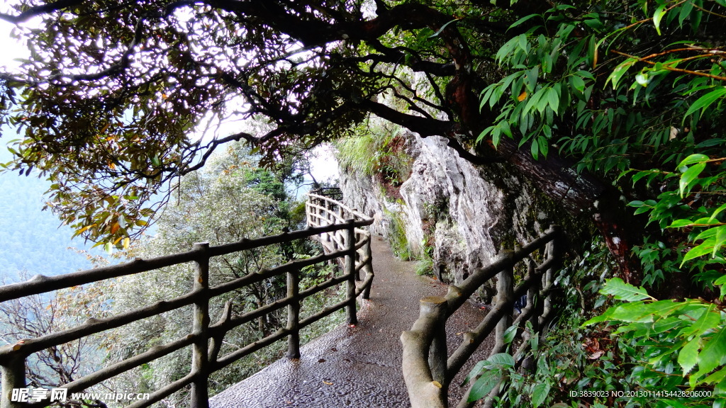 杜鹃山栈道
