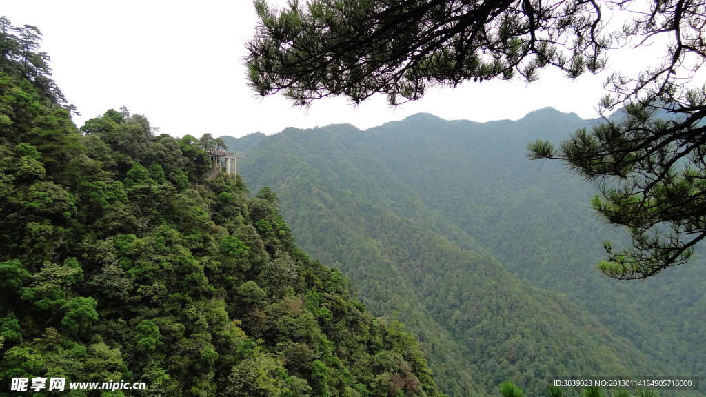 杜鹃山