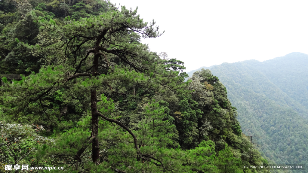 杜鹃山