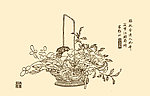 芥子园画谱 花卉