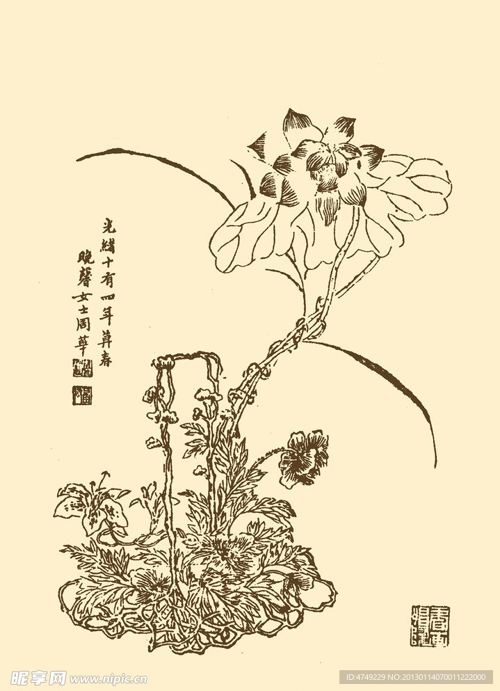 芥子园画谱 花卉