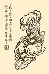 芥子园画谱 太湖石