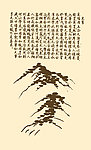 芥子园画谱 山水