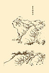 芥子园画谱 山水