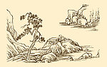 芥子园画谱 山水