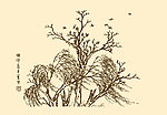 芥子园画谱 山水