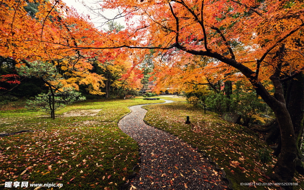 秋天风景