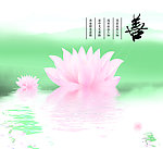 荷花善