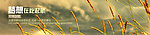 招商加盟banner