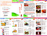 同仁堂13年折页