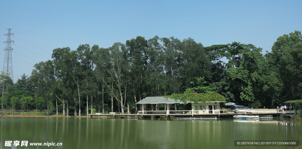 华南植物园风景