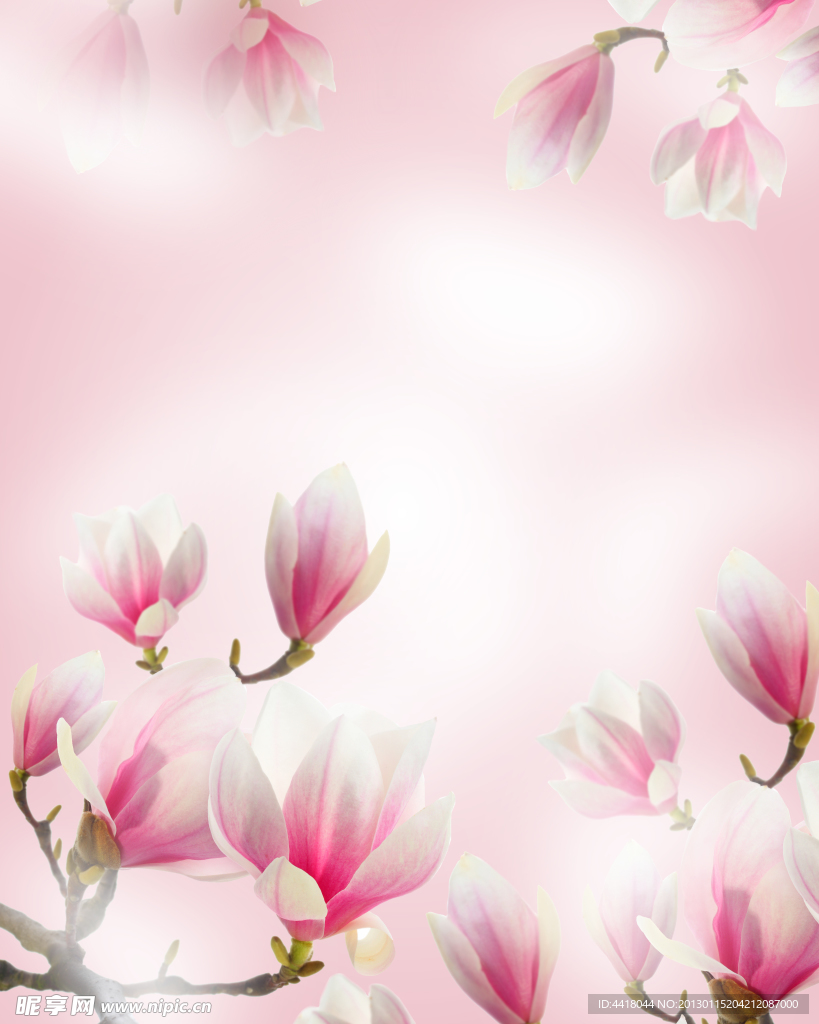 花朵移门