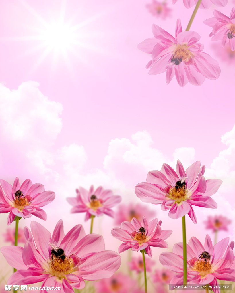 花朵移门