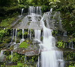 高山流水