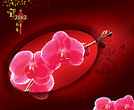 新春