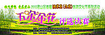 君山油菜花活动