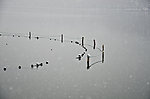 西湖雪景