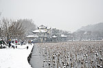 西湖雪景