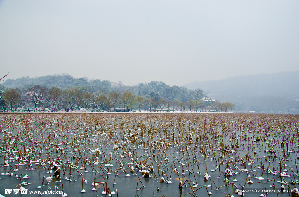 西湖雪景