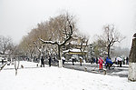 西湖雪景