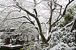 西湖雪景