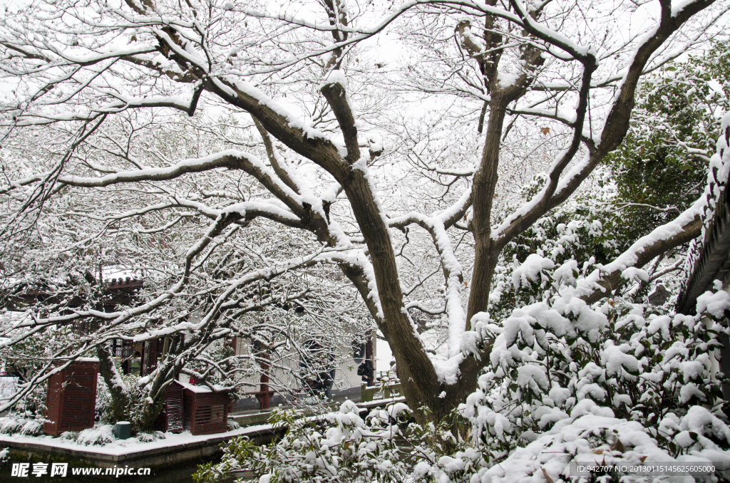 西湖雪景